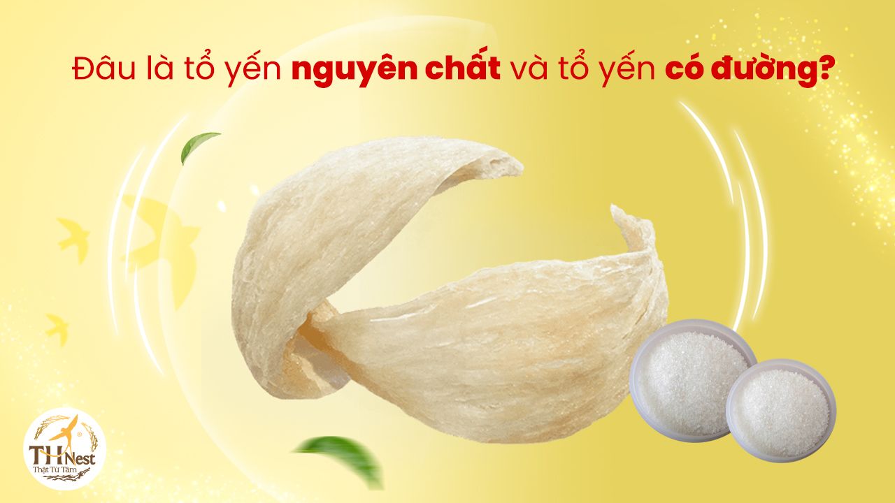 Mẹo phân biệt tổ yến độn chất phụ gia cực đơn giản