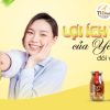 Những lợi ích vàng của yến sào đối với sức khỏe có thể bạn chưa biết
